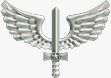 Logo do convênio Aeronáutica